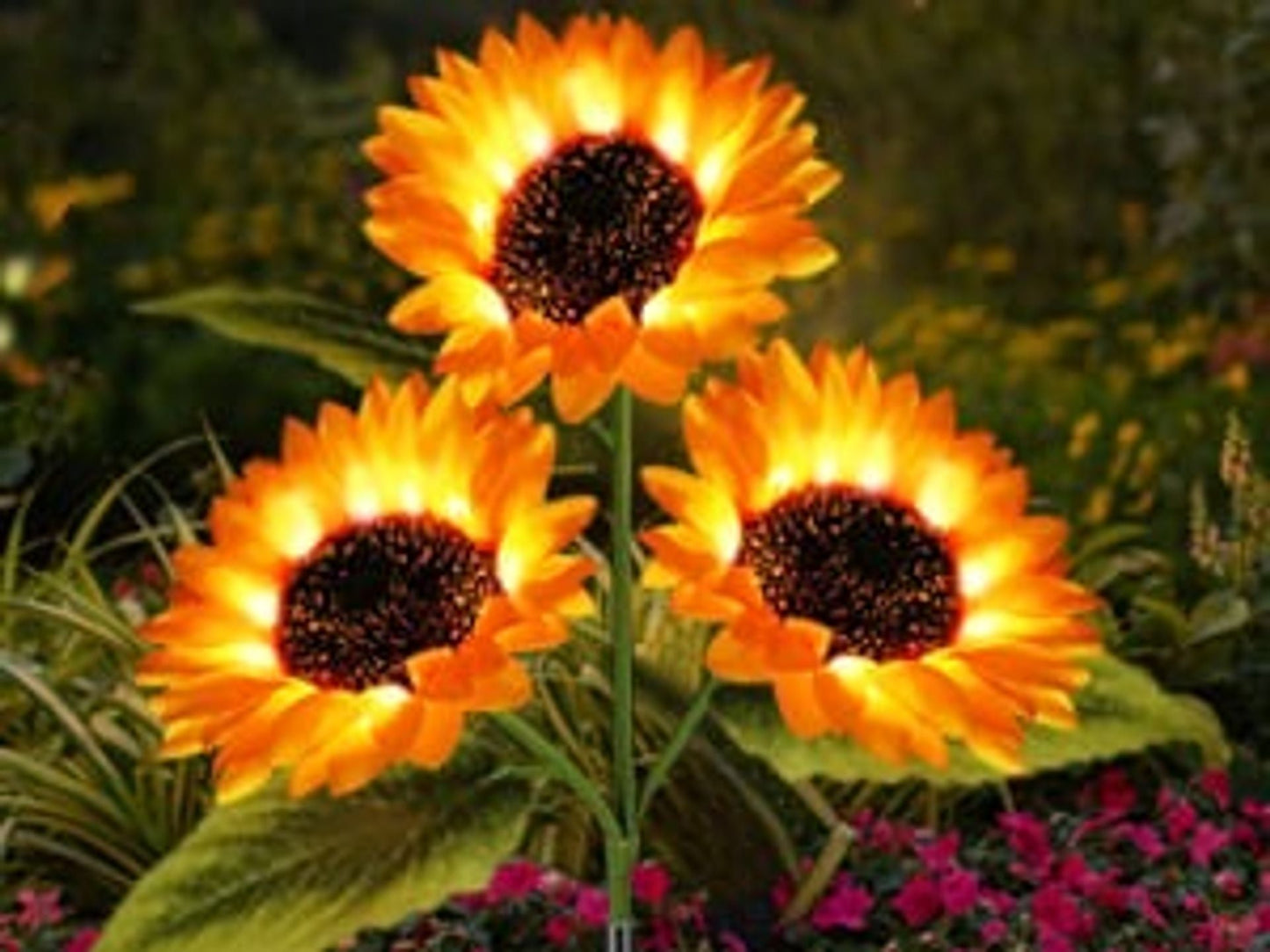 🌞Women's Equality Day - Solar LED Sunflower Garden Lights-29.6inch/75cm 🌻